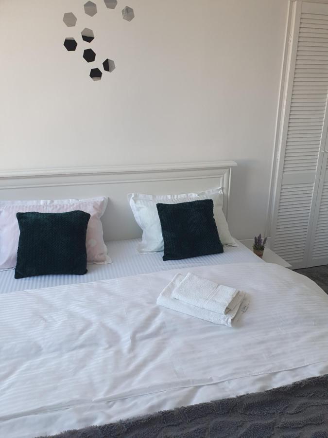 גורה הומורולווי Apartament Tiron In Centru Orasului מראה חיצוני תמונה