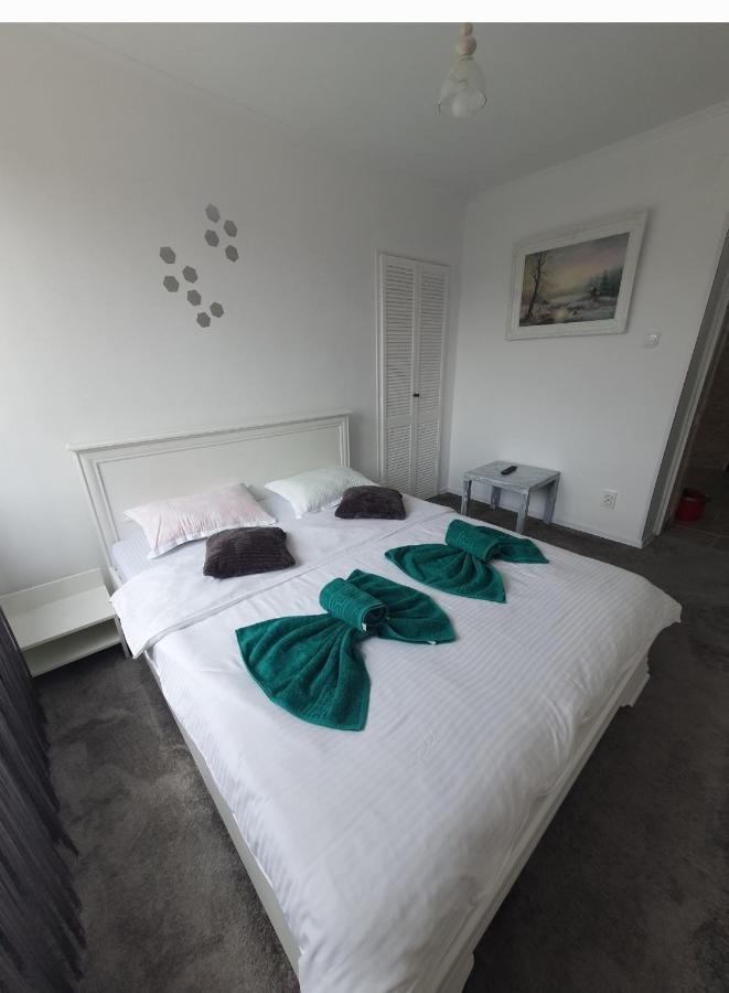 גורה הומורולווי Apartament Tiron In Centru Orasului מראה חיצוני תמונה