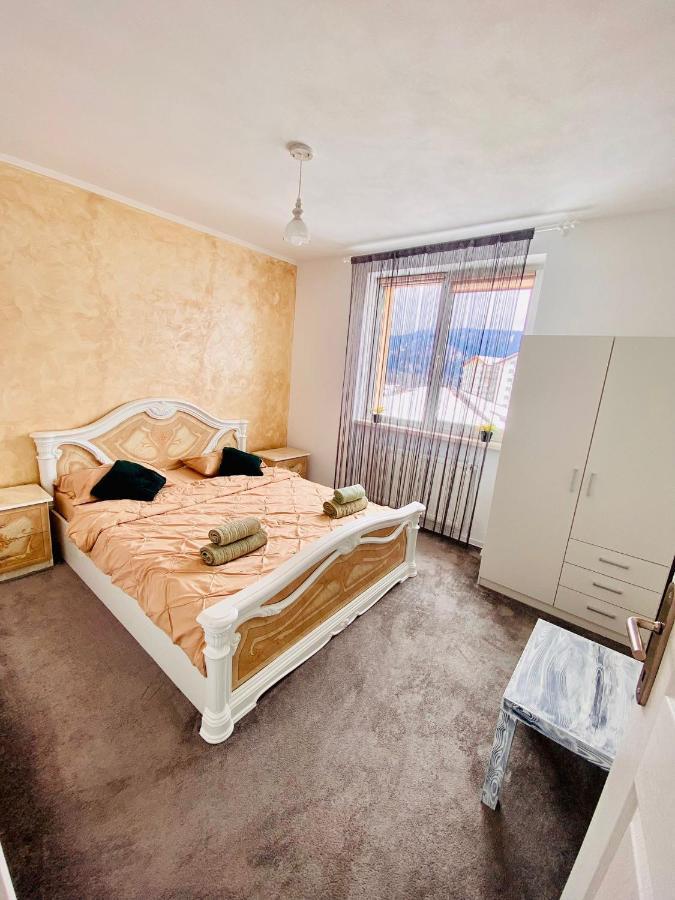 גורה הומורולווי Apartament Tiron In Centru Orasului מראה חיצוני תמונה